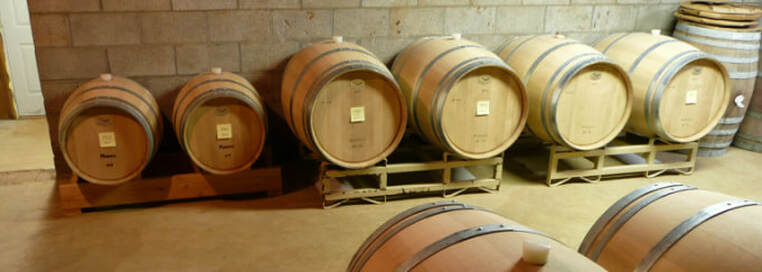 Photo of wine barrels in the cellar.